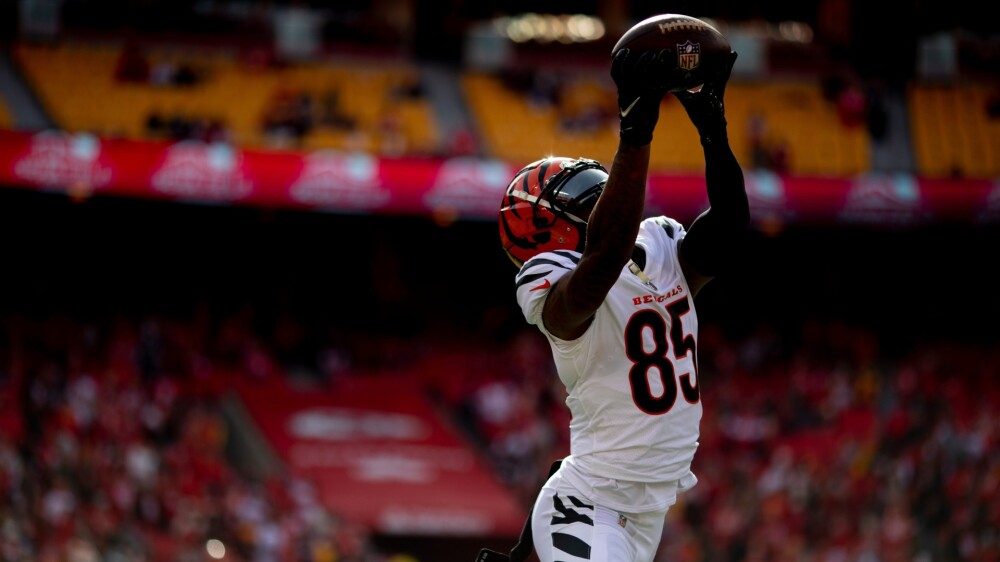Tee Higgins Catch
